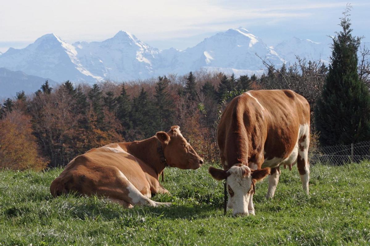 Mountain Home - Ein Aufenthalt Mit Weitblick Niedermuhlern Extérieur photo
