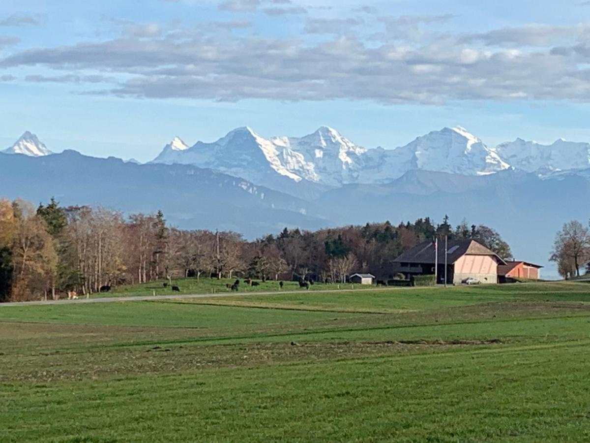 Mountain Home - Ein Aufenthalt Mit Weitblick Niedermuhlern Extérieur photo